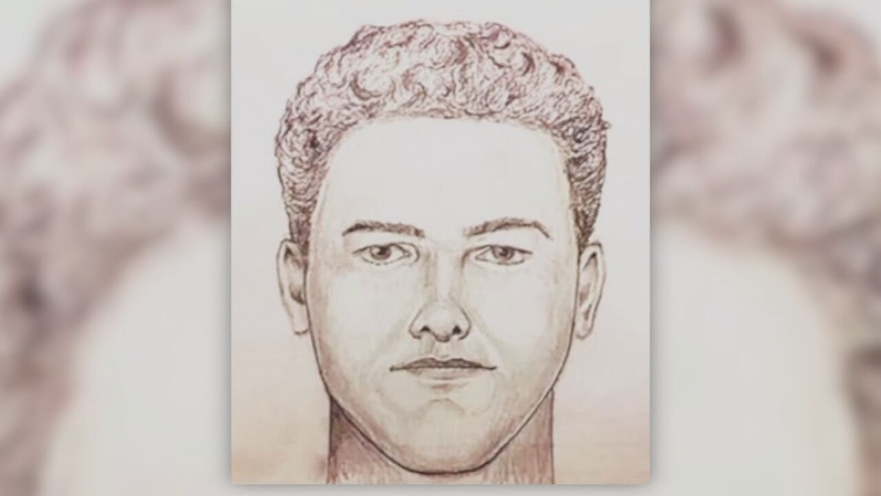 Police sketch of Delphi, Indiana murderer.jpeg